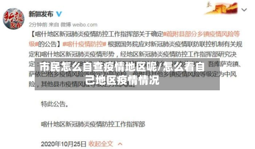 市民怎么自查疫情地区呢/怎么看自己地区疫情情况-第2张图片