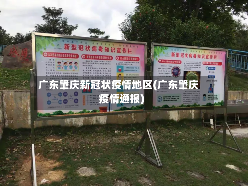 广东肇庆新冠状疫情地区(广东肇庆疫情通报)-第3张图片
