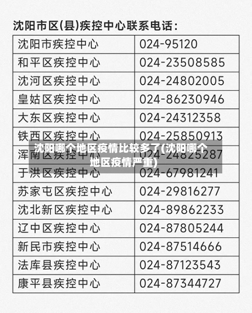 沈阳哪个地区疫情比较多了(沈阳哪个地区疫情严重)-第2张图片