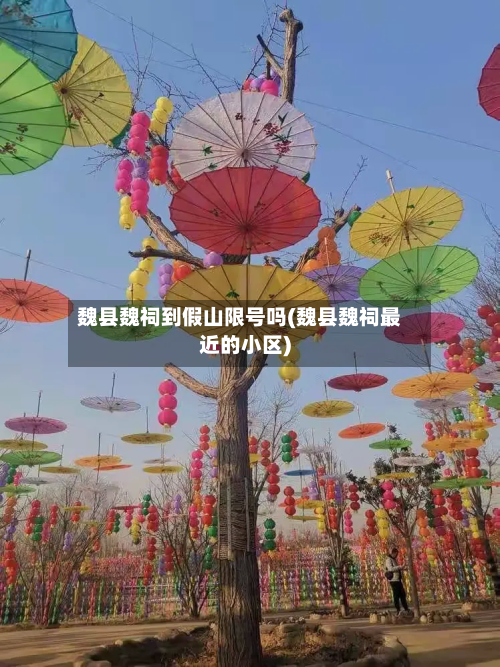 魏县魏祠到假山限号吗(魏县魏祠最近的小区)-第2张图片