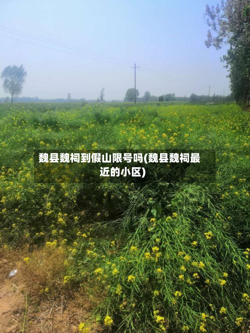魏县魏祠到假山限号吗(魏县魏祠最近的小区)