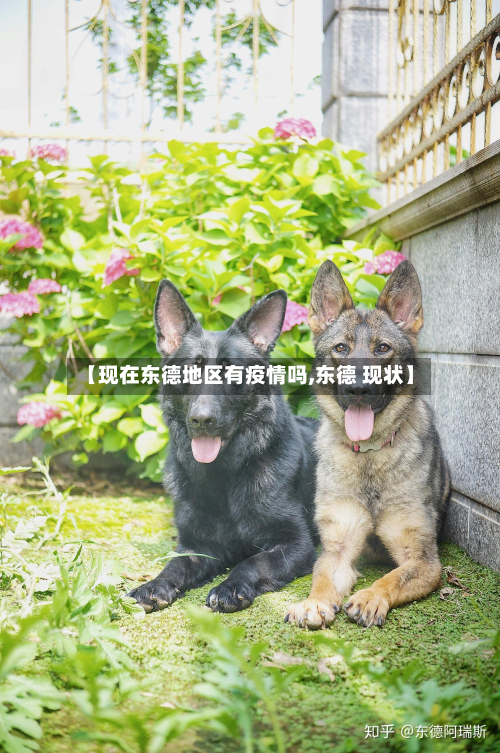 【现在东德地区有疫情吗,东德 现状】
