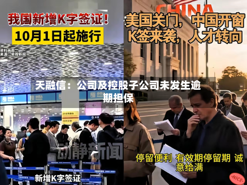 天融信：公司及控股子公司未发生逾期担保