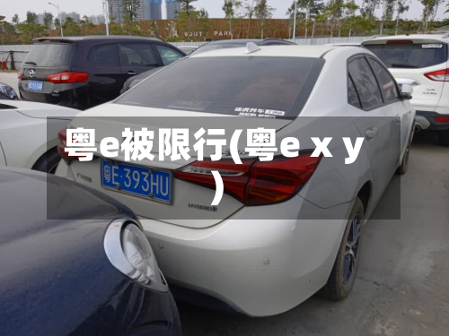 粤e被限行(粤e x y)-第2张图片