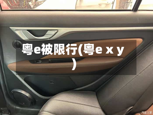 粤e被限行(粤e x y)