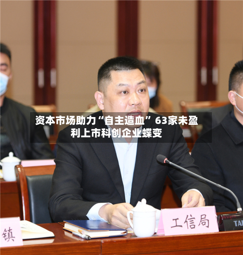 资本市场助力“自主造血” 63家未盈利上市科创企业蝶变-第2张图片