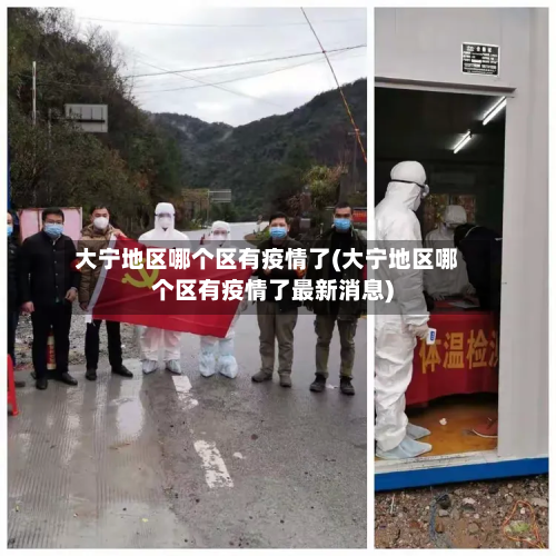 大宁地区哪个区有疫情了(大宁地区哪个区有疫情了最新消息)