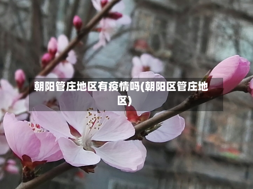 朝阳管庄地区有疫情吗(朝阳区管庄地区)-第2张图片