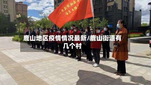 鹿山地区疫情情况最新/鹿山街道有几个村-第3张图片