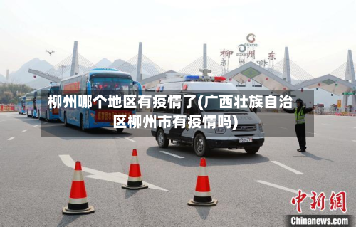 柳州哪个地区有疫情了(广西壮族自治区柳州市有疫情吗)-第3张图片