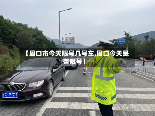 【周口市今天限号几号车,周口今天是否限号】-第2张图片