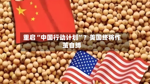 重启“中国行动计划”？美国终将作茧自缚-第3张图片