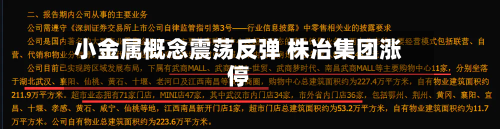 小金属概念震荡反弹 株冶集团涨停