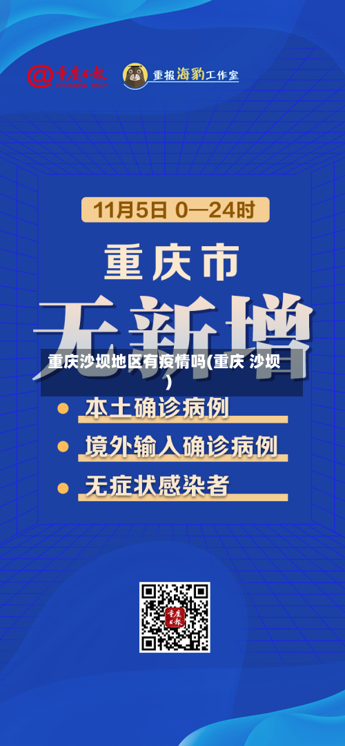 重庆沙坝地区有疫情吗(重庆 沙坝)-第2张图片