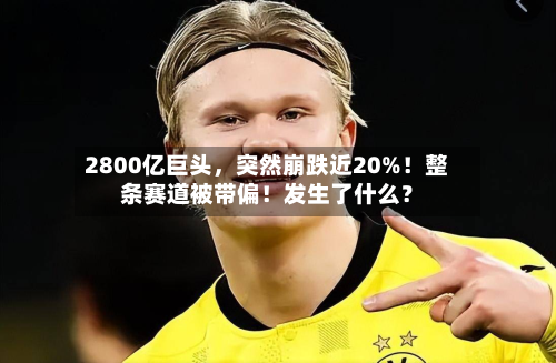 2800亿巨头	，突然崩跌近20%！整条赛道被带偏！发生了什么？-第2张图片