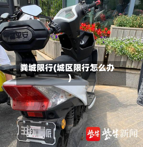 粪城限行(城区限行怎么办)