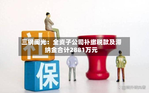 三钢闽光：全资子公司补缴税款及滞纳金合计2881万元-第2张图片