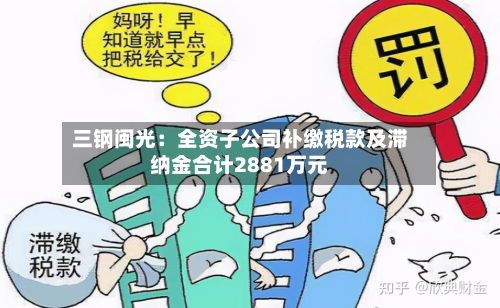 三钢闽光:全资子公司补缴税款及滞纳金合计2881万元