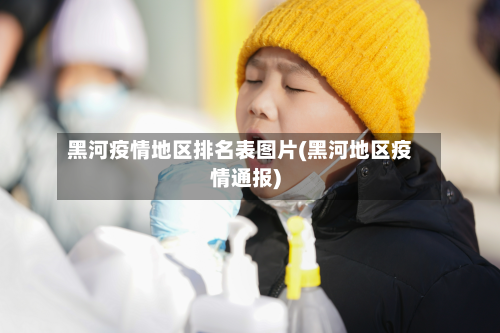 黑河疫情地区排名表图片(黑河地区疫情通报)-第2张图片