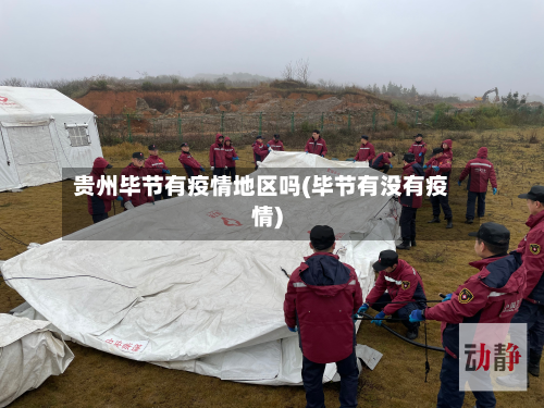 贵州毕节有疫情地区吗(毕节有没有疫情)