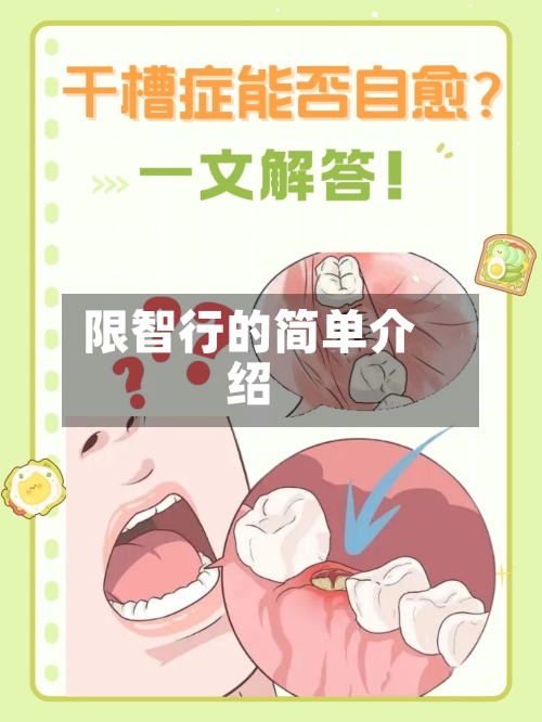 限智行的简单介绍