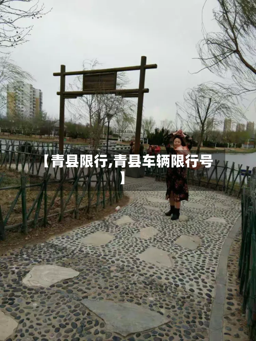 【青县限行,青县车辆限行号】-第2张图片