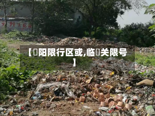 【洺阳限行区或,临洺关限号】