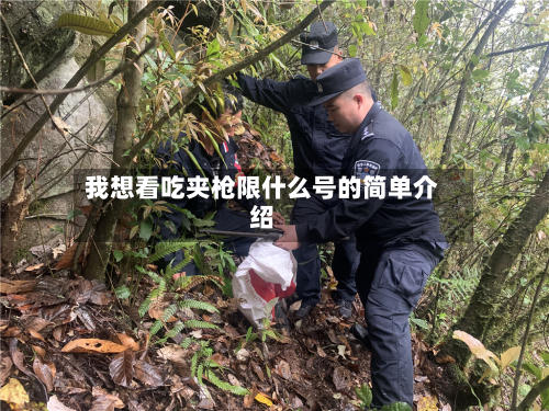 我想看吃夹枪限什么号的简单介绍