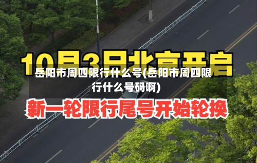 岳阳市周四限行什么号(岳阳市周四限行什么号码啊)