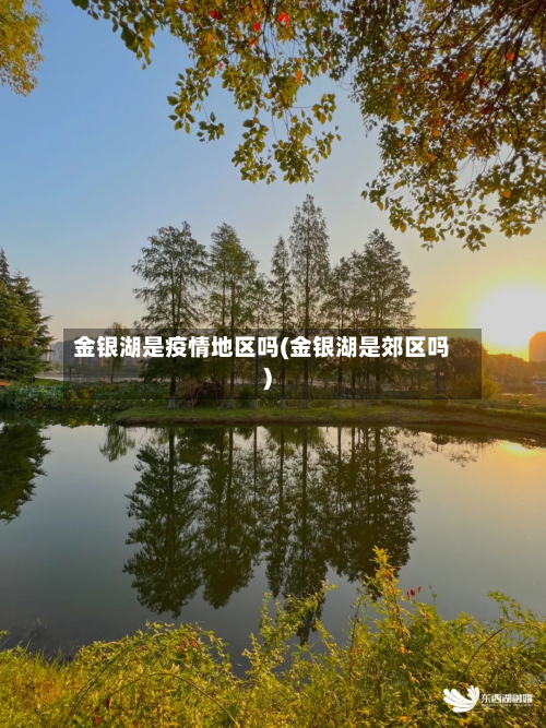 金银湖是疫情地区吗(金银湖是郊区吗)