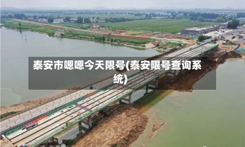 泰安市嗯嗯今天限号(泰安限号查询系统)