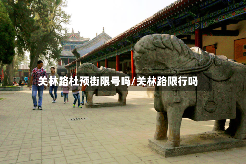 关林路杜预街限号吗/关林路限行吗-第2张图片