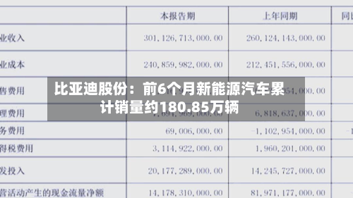 比亚迪股份：前6个月新能源汽车累计销量约180.85万辆-第3张图片