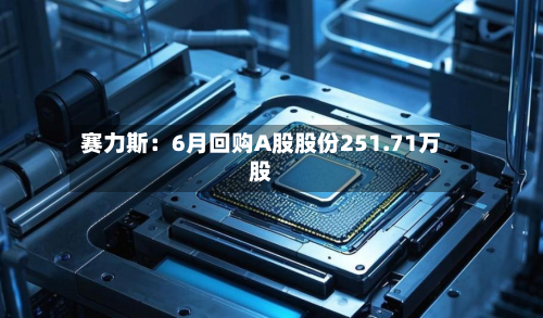赛力斯：6月回购A股股份251.71万股-第2张图片