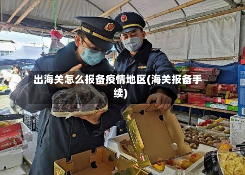 出海关怎么报备疫情地区(海关报备手续)-第2张图片