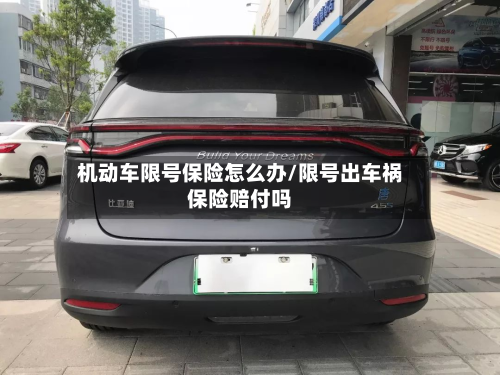 机动车限号保险怎么办/限号出车祸保险赔付吗