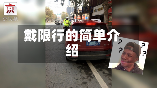 戴限行的简单介绍-第3张图片