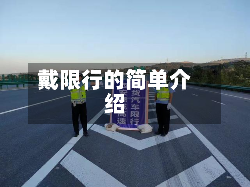 戴限行的简单介绍