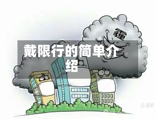 戴限行的简单介绍-第2张图片