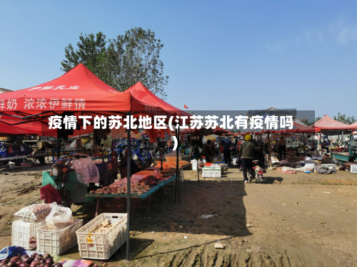 疫情下的苏北地区(江苏苏北有疫情吗)