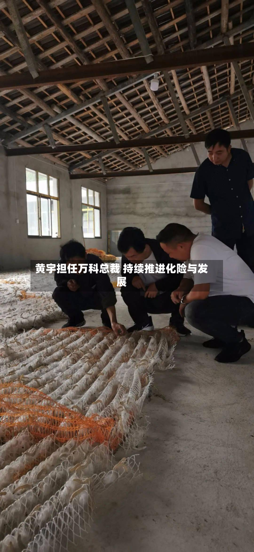 黄宇担任万科总裁 持续推进化险与发展-第3张图片