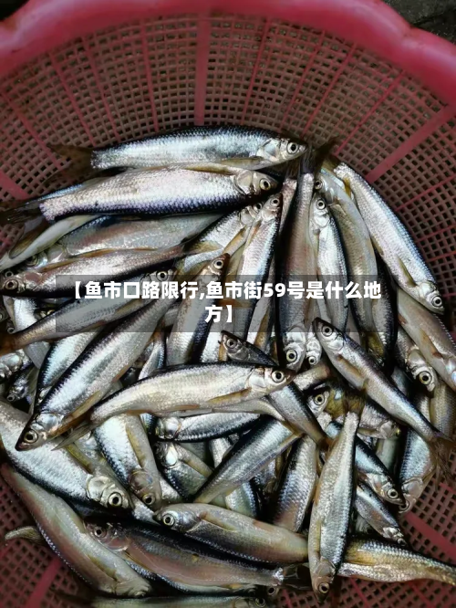 【鱼市口路限行,鱼市街59号是什么地方】-第2张图片