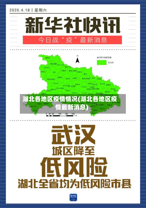 湖北各地区疫情情况(湖北各地区疫情最新消息)-第3张图片