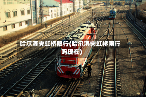 哈尔滨霁虹桥限行(哈尔滨霁虹桥限行吗现在)