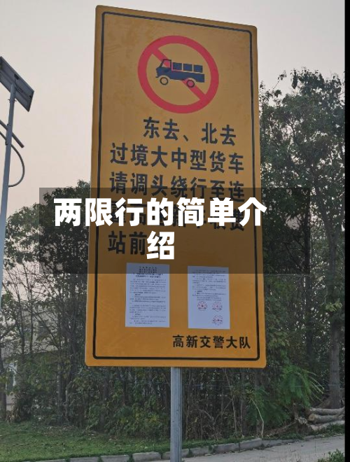 两限行的简单介绍