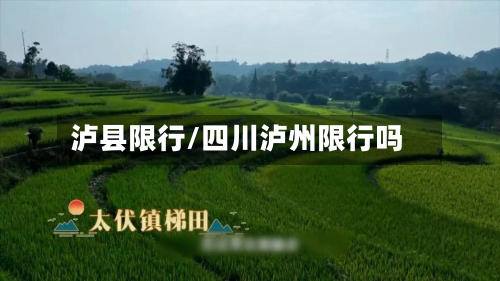 泸县限行/四川泸州限行吗-第2张图片