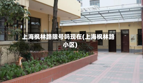 上海枫林路限号吗现在(上海枫林路小区)-第3张图片