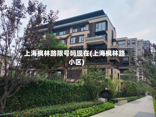 上海枫林路限号吗现在(上海枫林路小区)-第2张图片