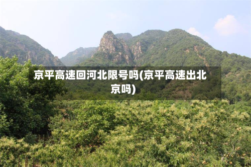 京平高速回河北限号吗(京平高速出北京吗)