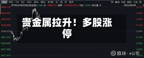 贵金属拉升！多股涨停-第3张图片